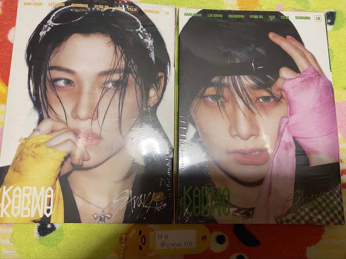 【交換】 straykids スキズ KARMA accordion

譲→フィリックス アイエン

求→ヒョンジン スンミン

大阪手渡しor郵送
纏めての交換希望
開封し封入等は抜いてあります
推しですが被りを出しております
コンプリートの為求めております
検索からでもお気軽にお声掛けください！