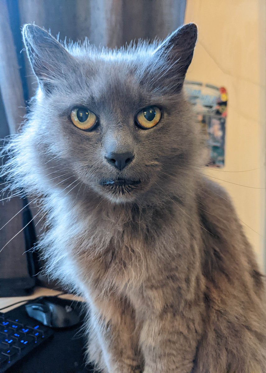 Mari Biscuits tweet media