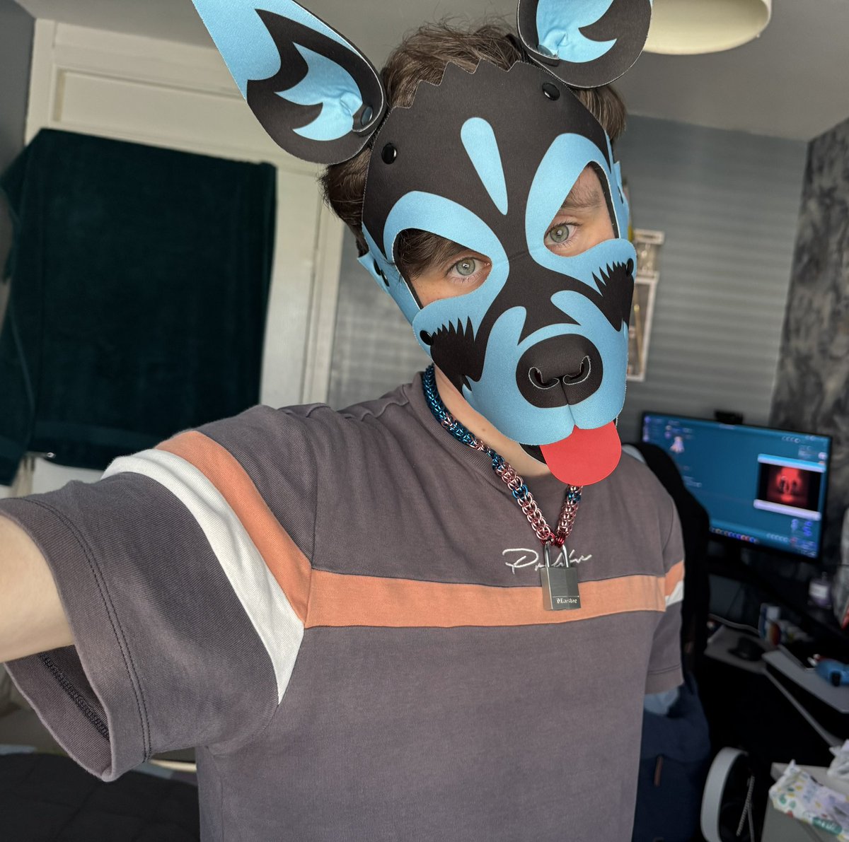 Aspen🐾🔜 WeePadded tweet media