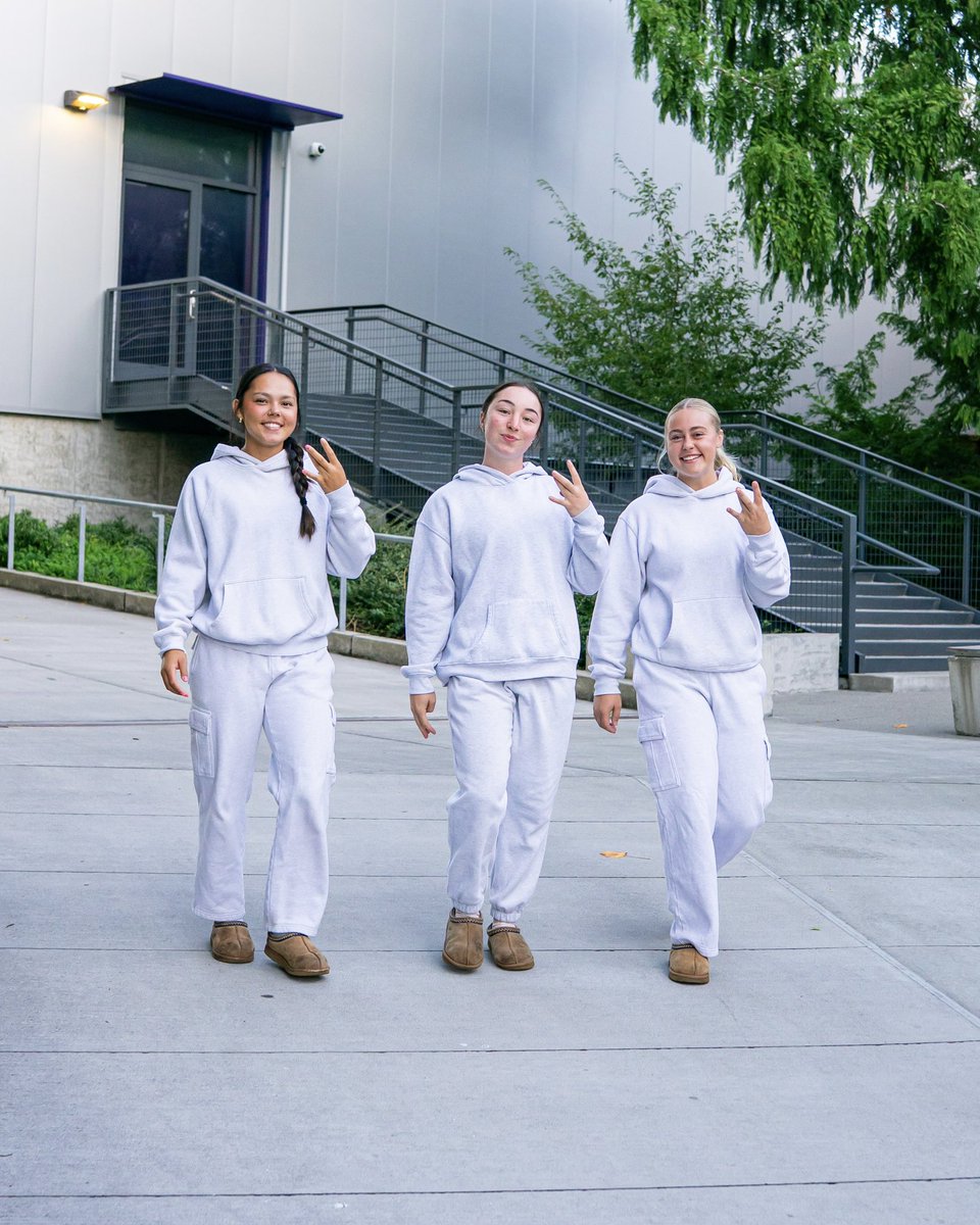 Washington Softball tweet media