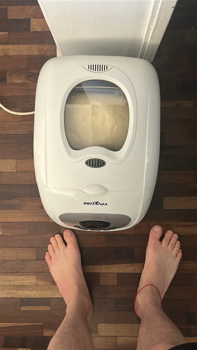 mcdinossauro's tweet image. agora eu tenho uma máquina de fazer pão