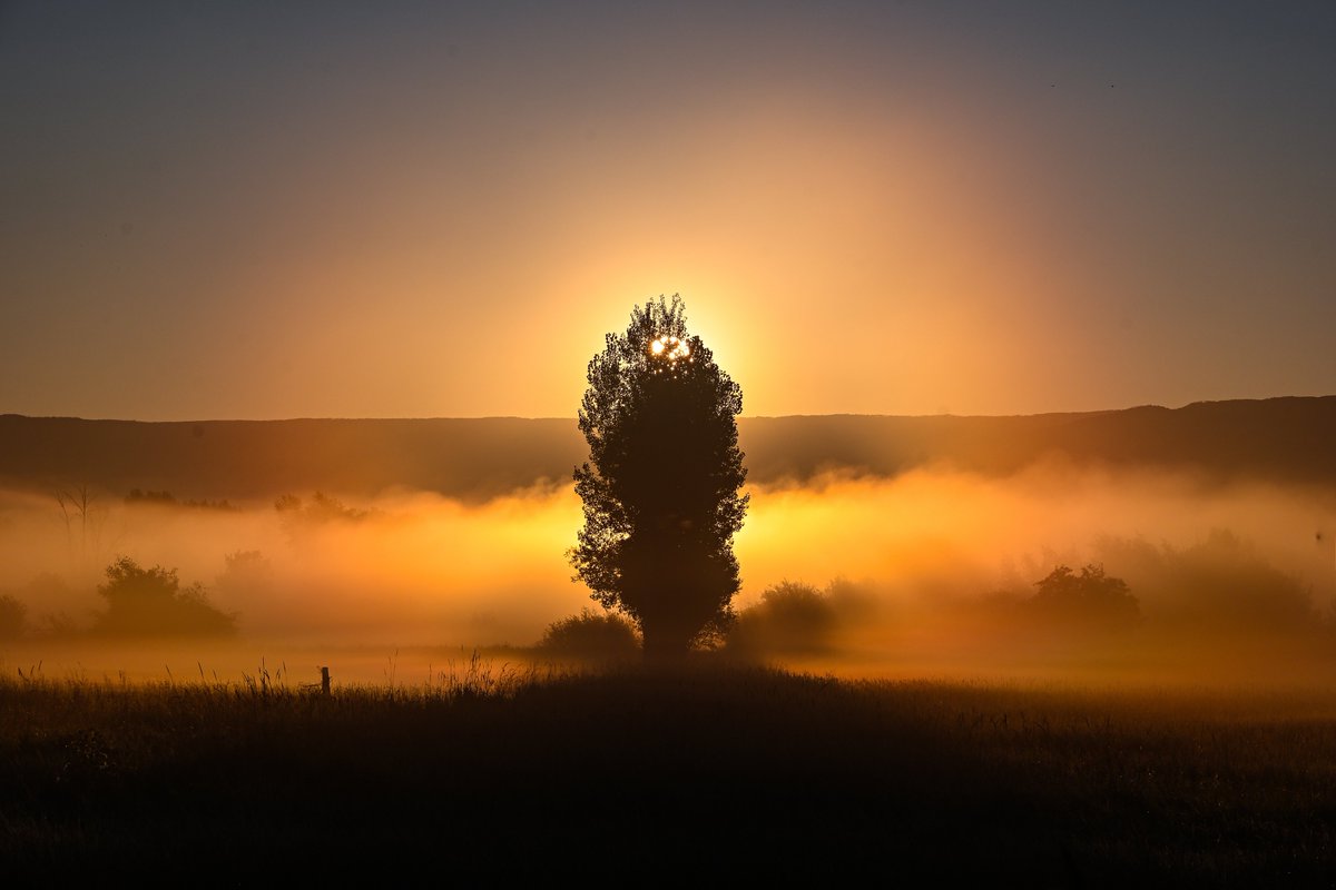 workingitoutnow tweet media