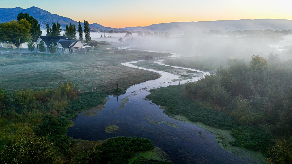 workingitoutnow tweet media