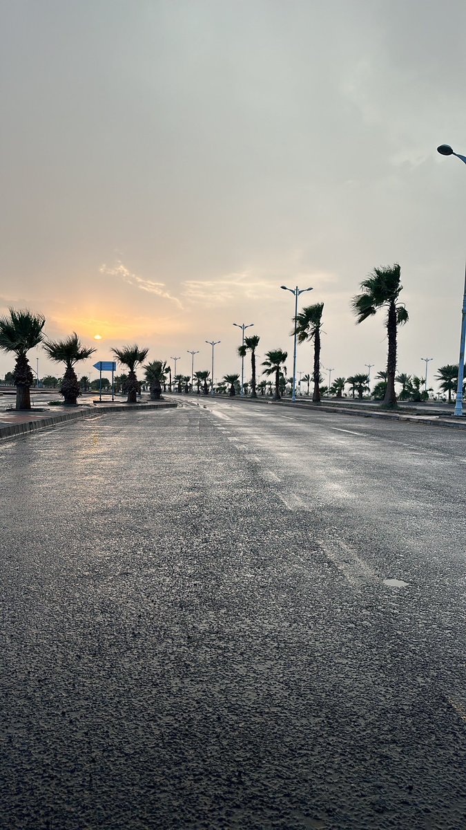 Ph.Saleh,N,Al-Raadan tweet media