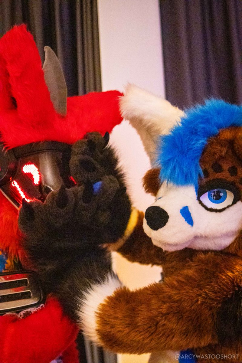 When you are making food at night but toaster is too loud 😆

💻🦈: <a href="/snappyaquatic/">S.N.A.P.P.Y (snappyaquatic.bsky.social)</a> 
📸: <a href="/arcywastooshort/">Arcy</a>