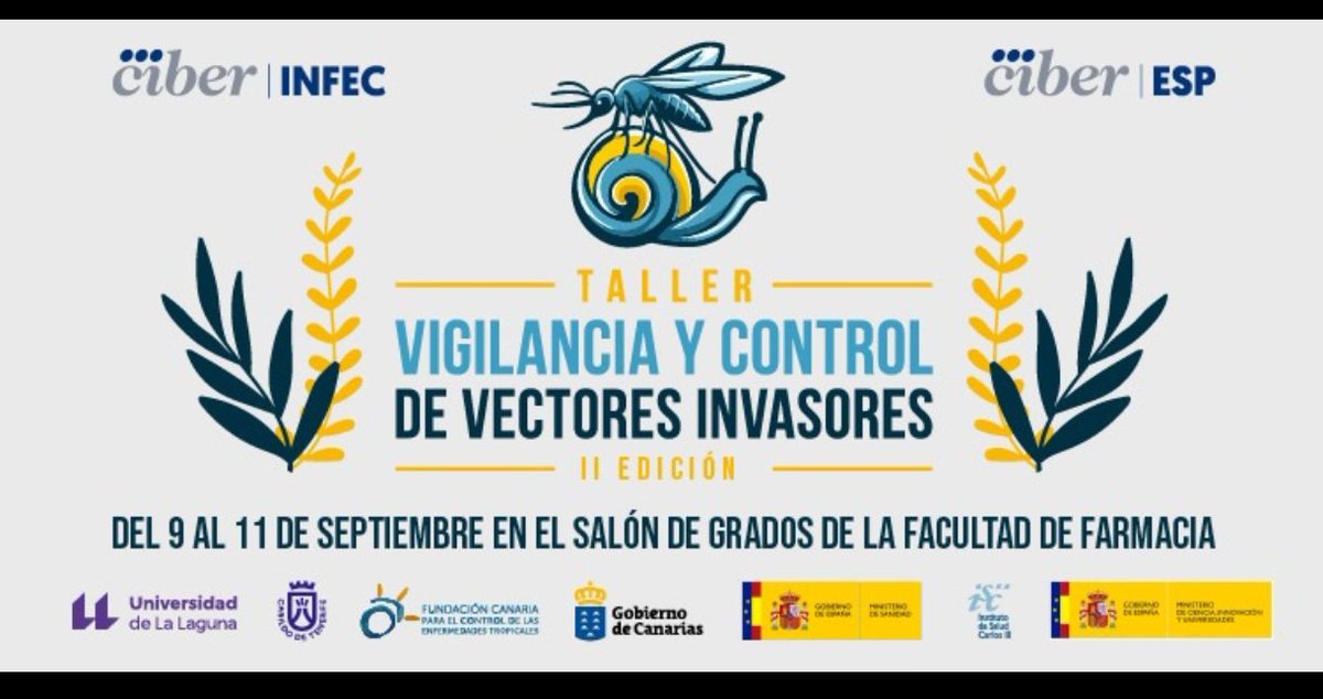 Daniel Bravo tweet media