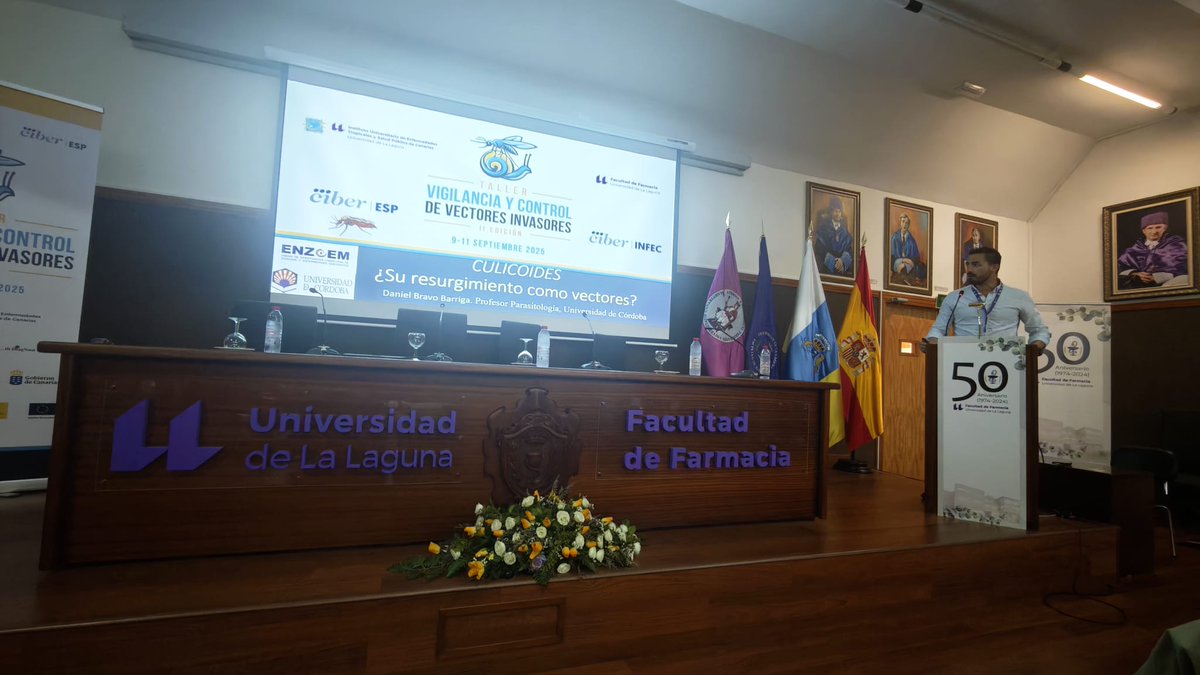 Daniel Bravo tweet media