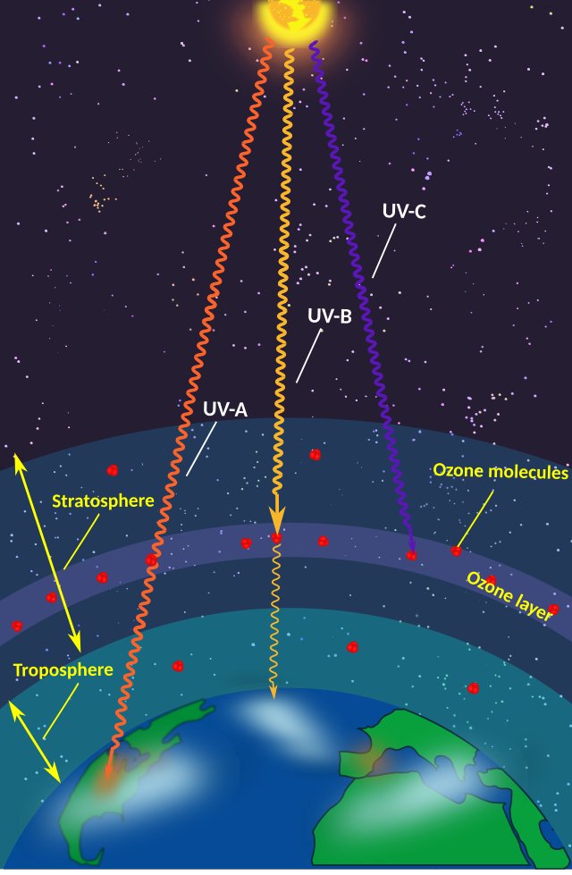 #WorldOzoneDay ☀️
Earth’s ozone layer = our natural shield against UV radiation.
🧪 It’s made of oxygen (O₃)
📍 90% of it lives 10–50 km above us
💙 Without it, life as we know it wouldn’t survive.
Protect the layer that protects us. #OzoneLayer #ClimateAction #ScienceMatters