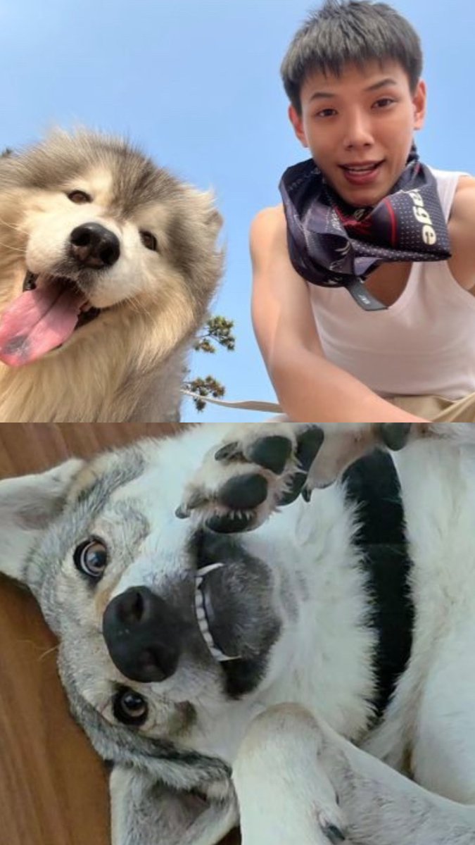 โปรไฟล์ถือว่าสูสี