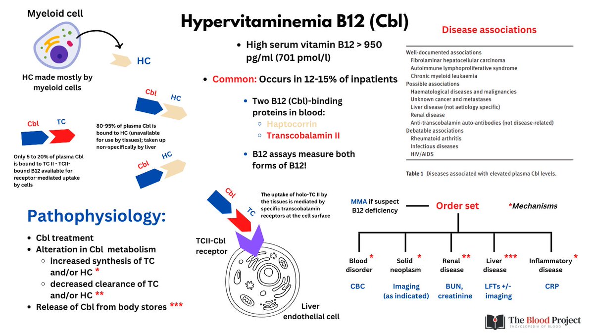 ELEVATED VITAMIN B12

High vitamin B12? 🧪 Unlike deficiency, elevated B12 usually isn’t about diet or supplements. It’s often a marker of disease.

... but no consensus on whether/how to investigate!

See: thebloodproject.com/elevated-vitam…