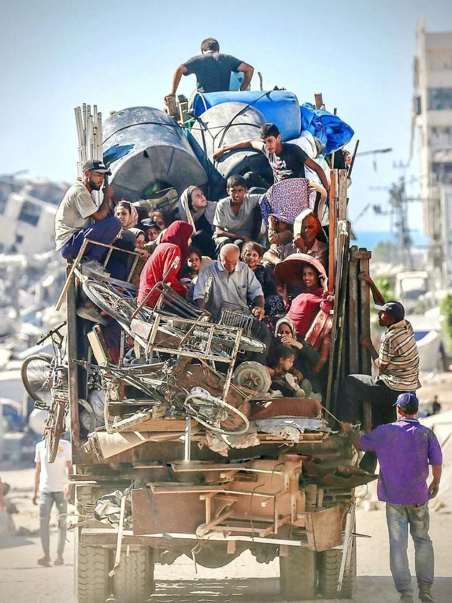 Gaza
15 September 2025