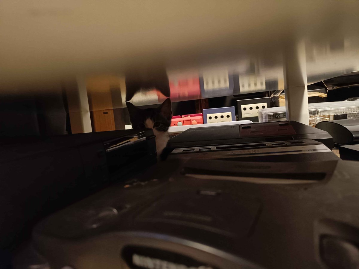 Hidden retro gamer spotted.