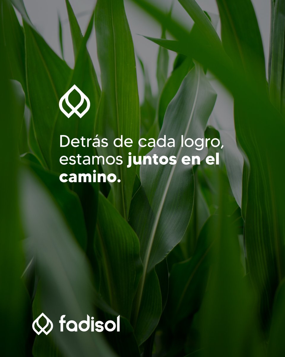 Sabemos que detrás de cada decisión en el campo hay trabajo y compromiso. 

Por eso acompañamos a los productores con soluciones y asesoramiento técnico para que cada campaña logre mejores rindes, más confianza y resultados que hagan la diferencia.

📲 095 67 60 74 | 📞 4576 2283