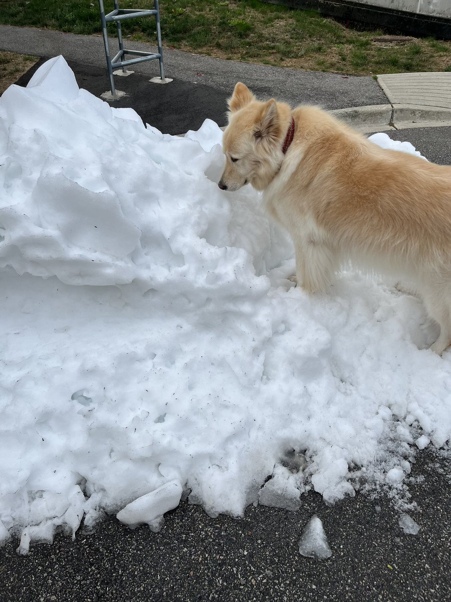 Oh my magic snow!!! It has been awhile.