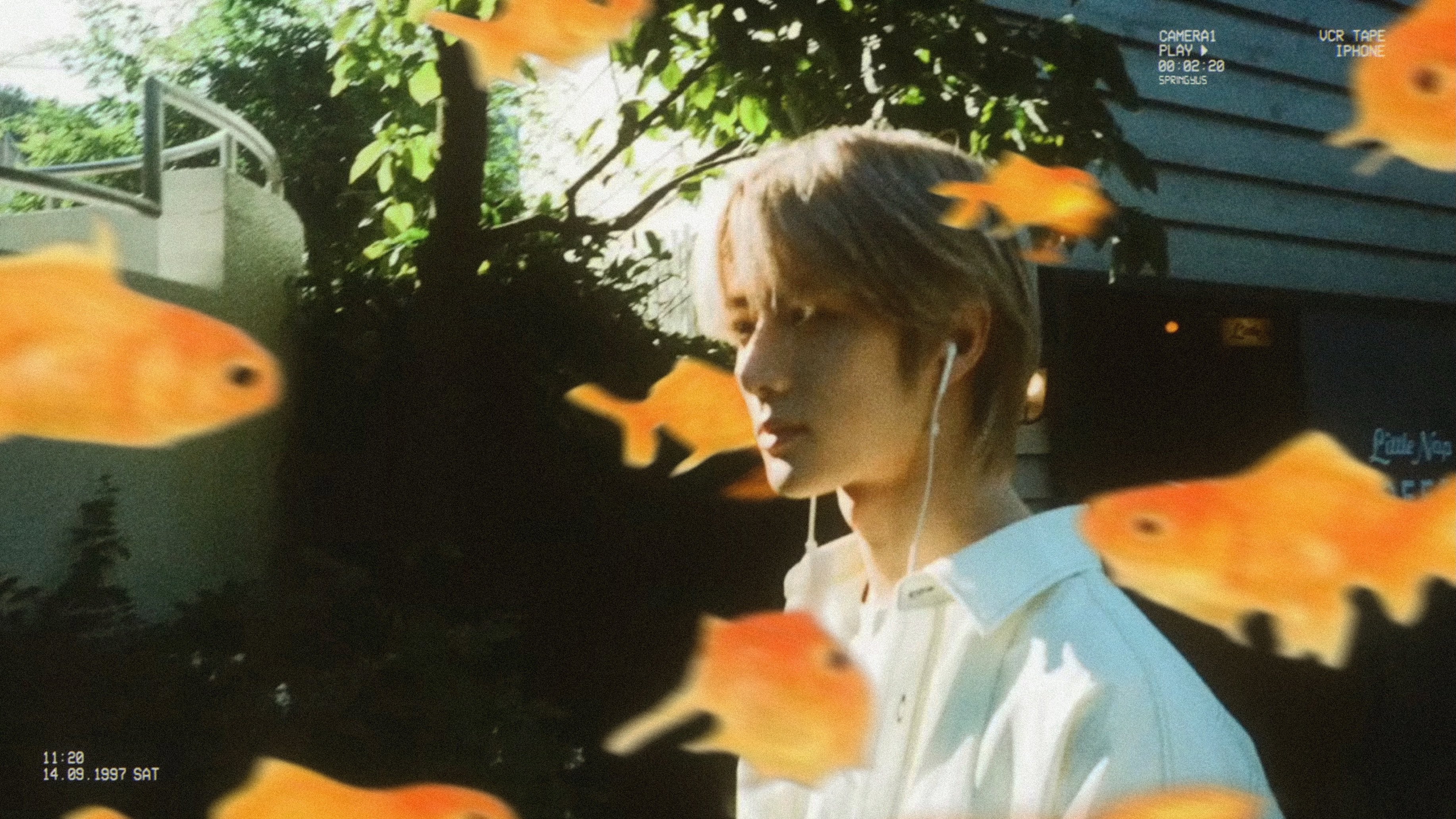 ☆さくら✻*˸ꕤ*˸*⋆。✻*˸ꕤ*˸*⋆。✻*˸ꕤ*˸*⋆。 Get (@getxddddd) / X