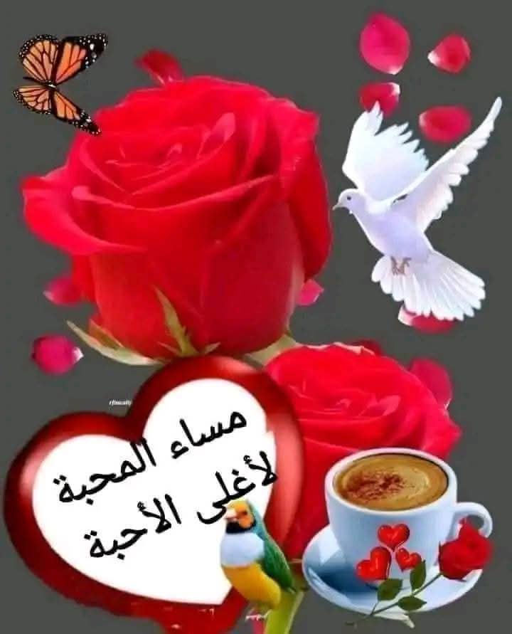 قد نلتقي بأرواح .. ولا يُكتب لنا رؤية ملامحها
و نحب كلمات .. مسّت قلوبنا دون أن نعرف كاتبها
قد نبكي .. مع عيون لم تراها أعيننا
و قد نفرح .. لفرح قلوب نثرت بسمتها أحرفا
و يبقى احترام الروح .. أسمى عناوين المحبة الطاهرة ـ🌹
احترامي للجميع 💜