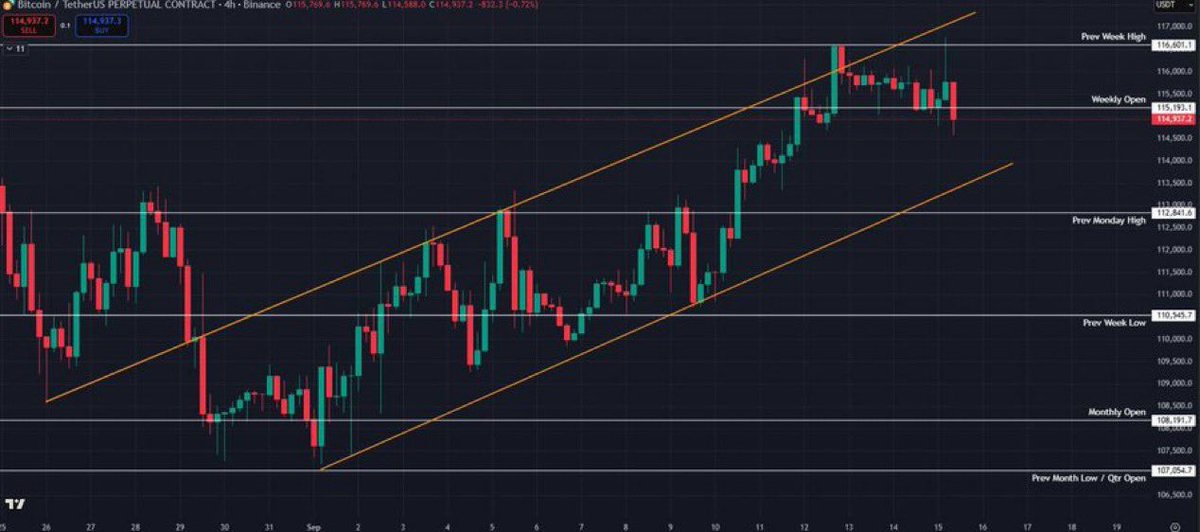 Jonny Mitchell tweet media