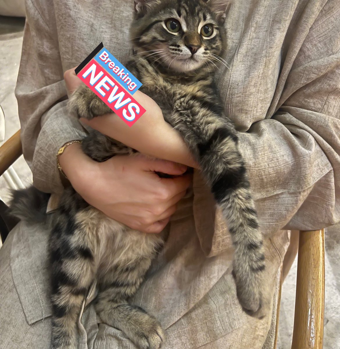 yicem💋💖💖💖🫠🫠🫠🫠🫠