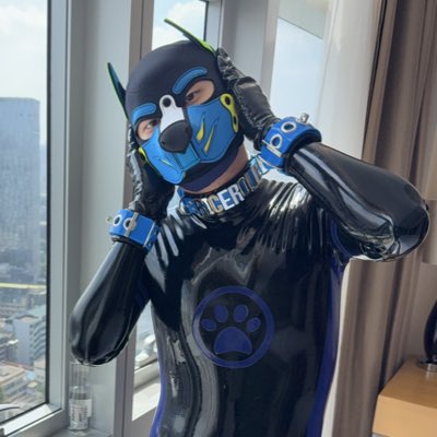 #新しいプロフィール画像