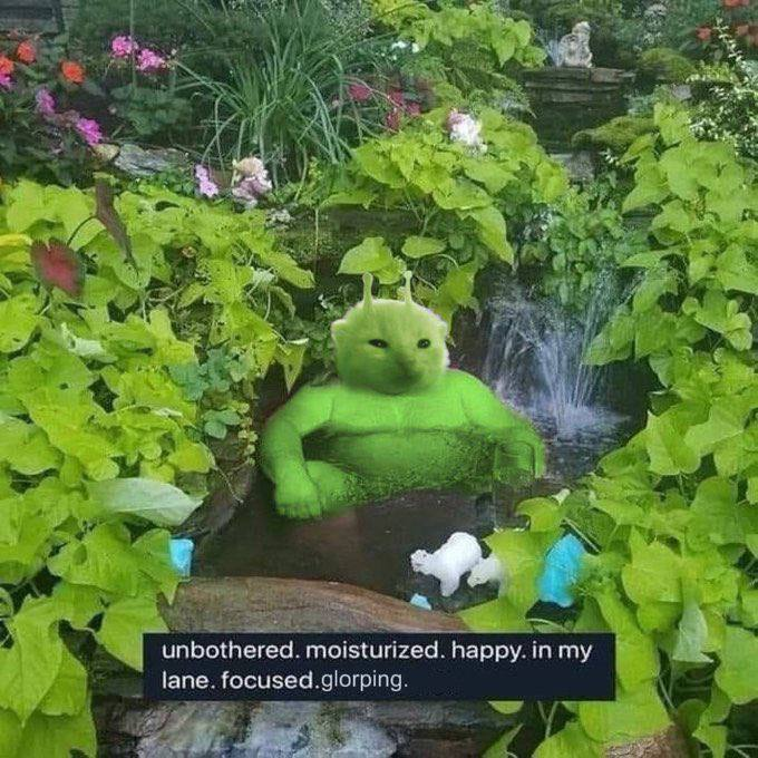 The calm before the Glorp