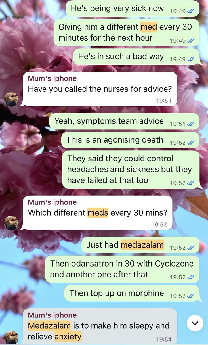 Ellie Lexie tweet media