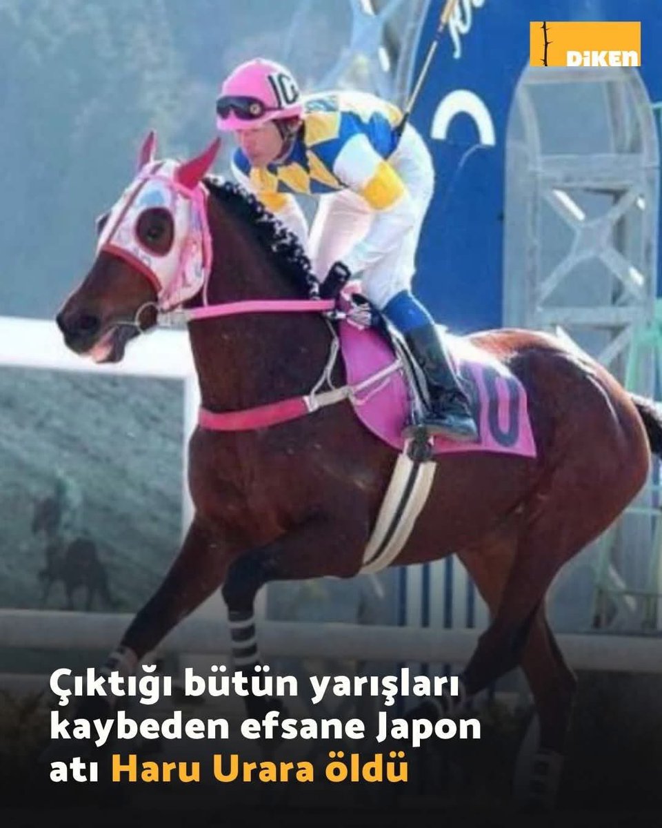 afakanakafa's tweet photo. at gibi at https://t.co/XVTb8MIPgq