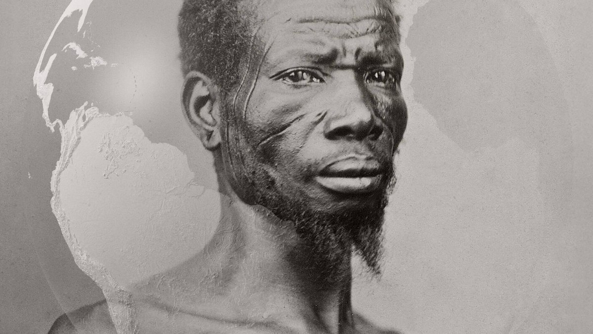 Acaba de estrenarse en Movistar+ el documental "La maldición del azúcar", con la participación de nuestro IP Martín Rodrigo, entrevistado junto a otros investigadores y especialistas de diferentes países. Una película muy recomendable: movistarplus.es/documentales/l…