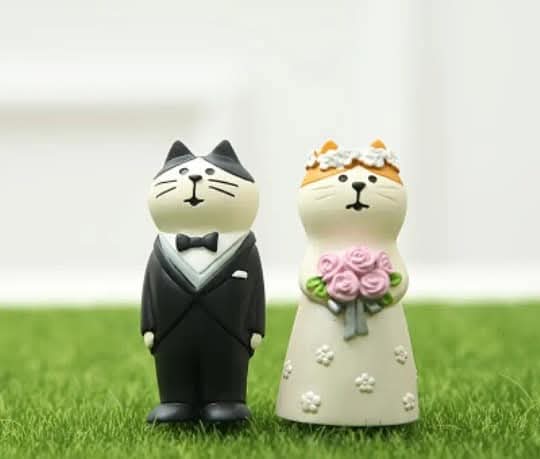 kokitolandia's tweet photo. Lo que gato dios ha unido, que no lo separe el antojo de una lata de atún 🐟😸💖 Precio $199 #gatos
#cats #pasteldebodas Para tu pastel de bodas para cualquier pastel o decorativos. Material resina, 6cm alto x 2cm largo
ENTREGAS solamente en Ixtapaluca, Edomex ENVIOS Sepomex https://t.co/jBQeh1Vz1d
