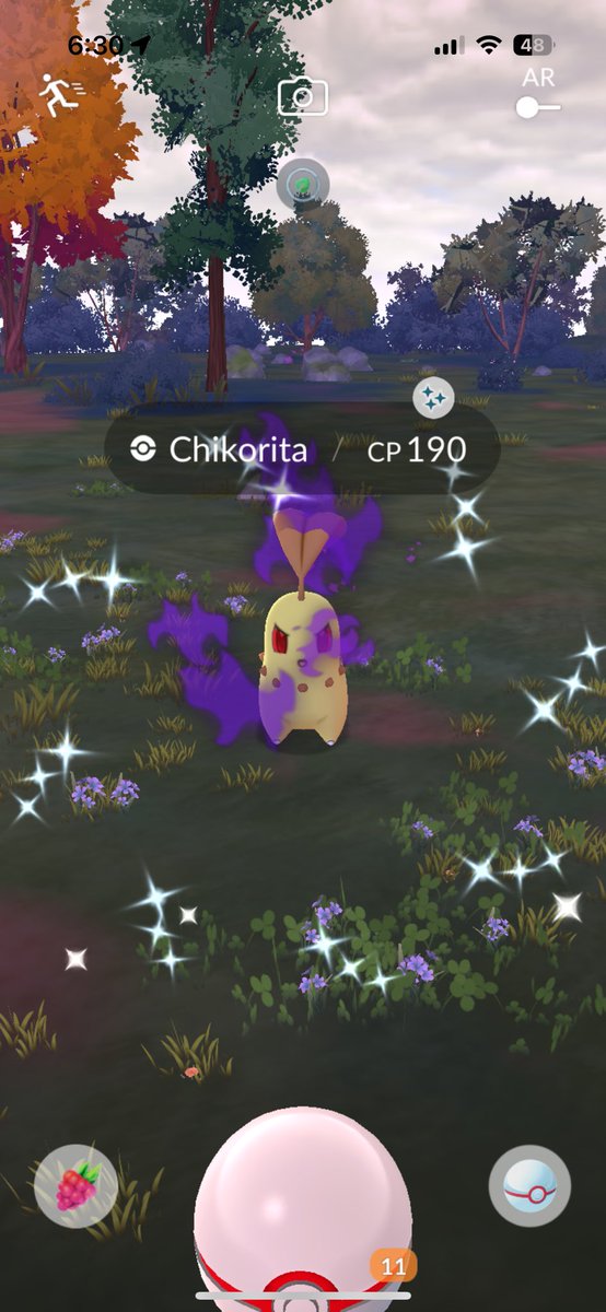 MagikarpGo69361's tweet image. ☺️🙌 just missing totodile 👀

#PokemonGO #Shadowpokemon 
#pokemon