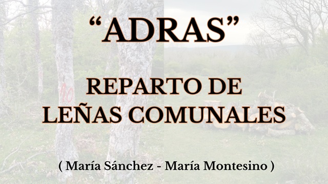 Adras: Reparto de leñas comunales (María Sánchez y María Montesino) portaloaca.com/videos/noticia…
