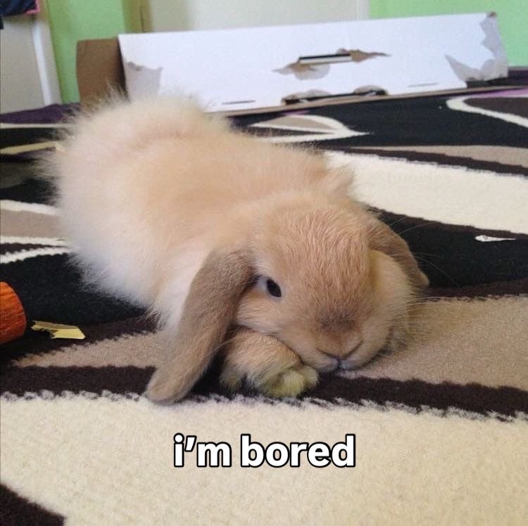Bunnies's tweet photo. https://t.co/0PmykdDsG5