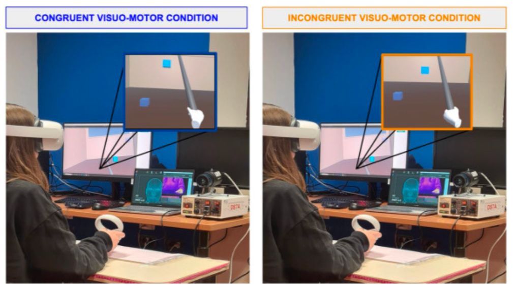 Can VR illusions affect our physiology? Researchers shifted participants' perceived body midline by replacing their right hand with a virtual left hand. This caused significant left-hand temperature decreases and altered skin conductance responses.

doi.org/10.1016/j.cort…