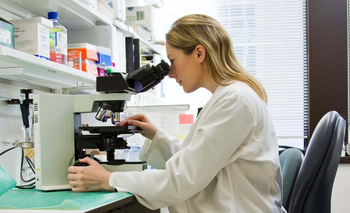 LigoLabLIS_RCM's tweet image. 📘 New Blog: Pathology Lab Management 2025 Guide
Best LIS software + proven practices to grow, streamline, &amp;amp; scale modern labs.
Featuring real survey insights from LIS leaders on workflow changes that boost efficiency &amp;amp; throughput.

👉 [bit.ly/3K10q9b]
#LIS #Pathology