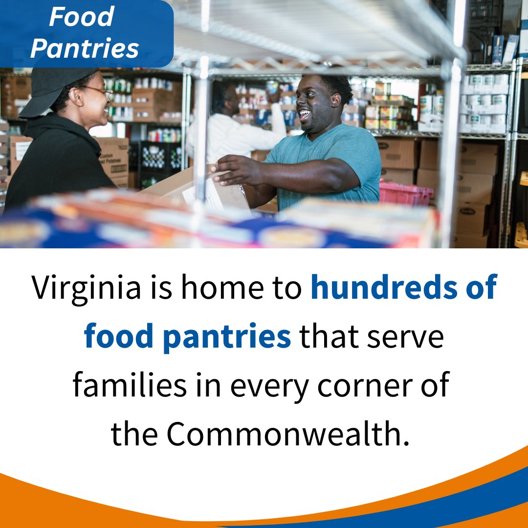 VDSS's tweet image. Accessing nutritious food should never be out of reach. This Hunger Action Month, Feed More is here to connect you and your family with tools and resources to help you thrive. 

Explore all the resources at FeedMore.org and take a step toward food security today.