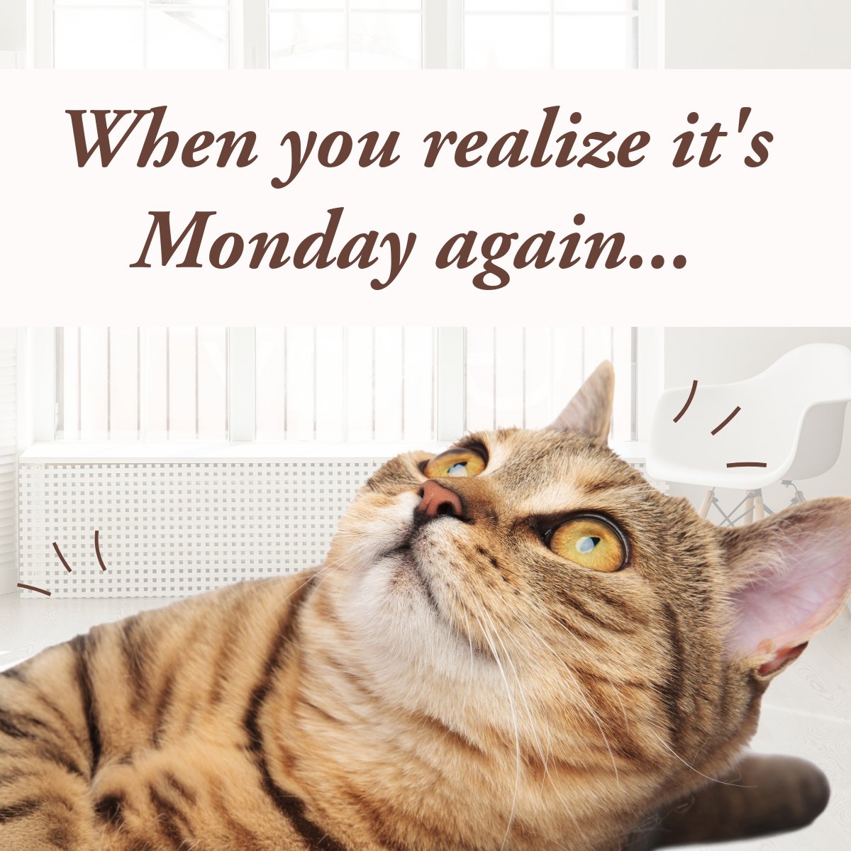 GatewayExec's tweet image. Hope everyone had a great weekend! Happy Monday 🙂

#executivesuites #mesaaz #meetingrooms #gilbertaz #virtualoffice #officespace #BusinessAddress