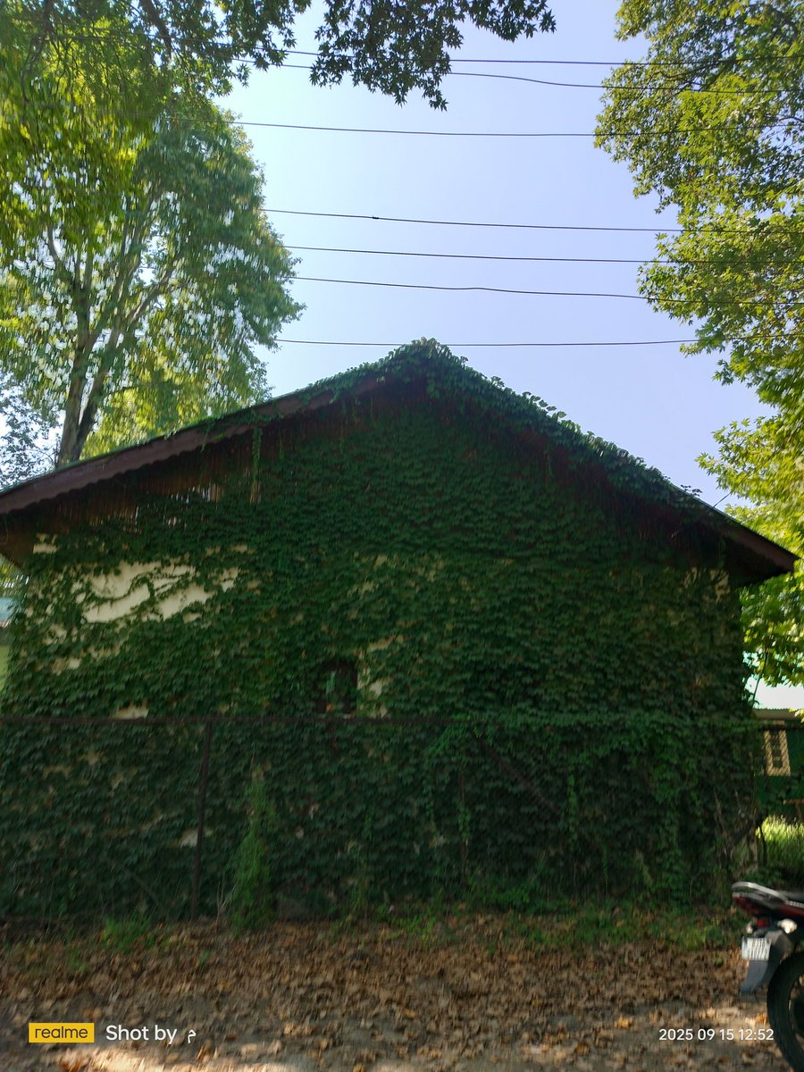 "Bas aik he kamre mai rehta hai aadmi
Baaki makaan mai uska guroor rehta hai."