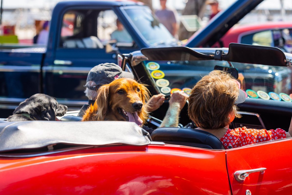 "This Is Why Car Enthusiasts Should Take a Road Trip to Mississippi in October." - Guessing Headlights

Source: bit.ly/4pmnShb

#CoastalMississippi #PlayCoastal #CruisintheCoast