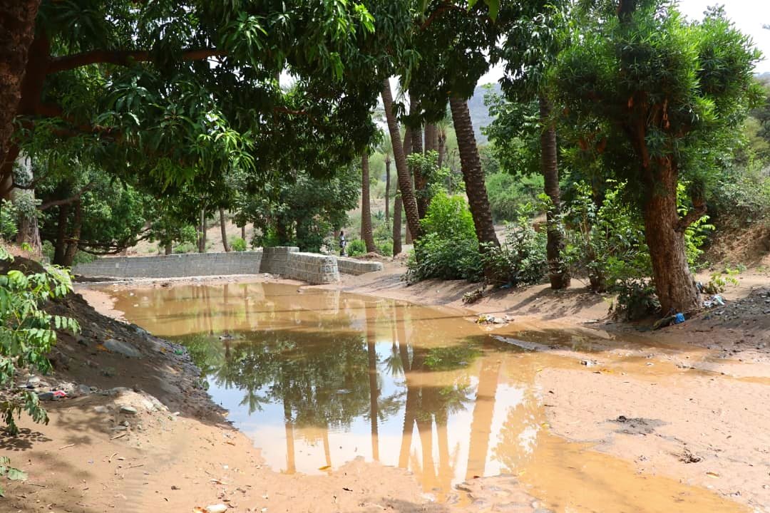 SFDYemen's tweet image. The absence of any national strategy to bring into balance #ClimateChange damage &amp;amp; #SocialProtection has given rise to RISKS! 
Many SFD approaches tend to reach RESILIENCE by protecting community&apos;s various resources so individuals adapt better.
Wadi AlFejiha #Taiz

#YemenCantWait
