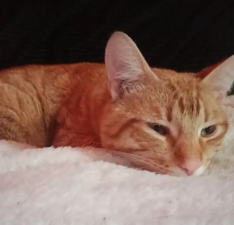 He needs to stop making this face everytime I leave