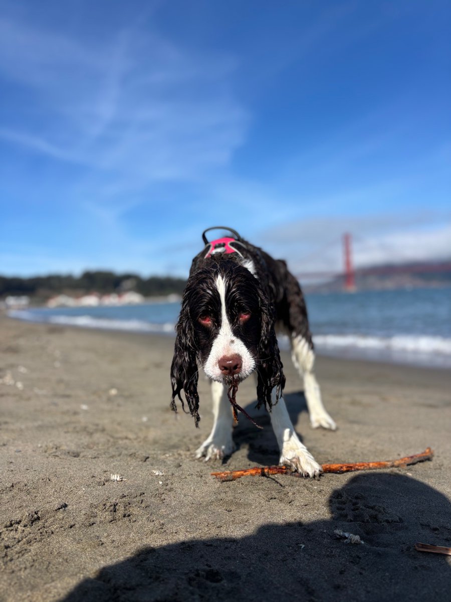 Ned O'Leary (@nedoleary) on Twitter photo 