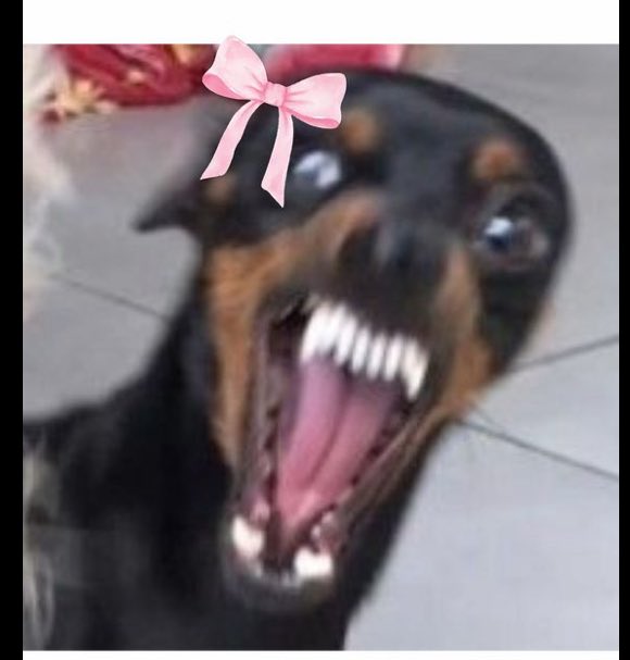 ميماليزا ♕ tweet media