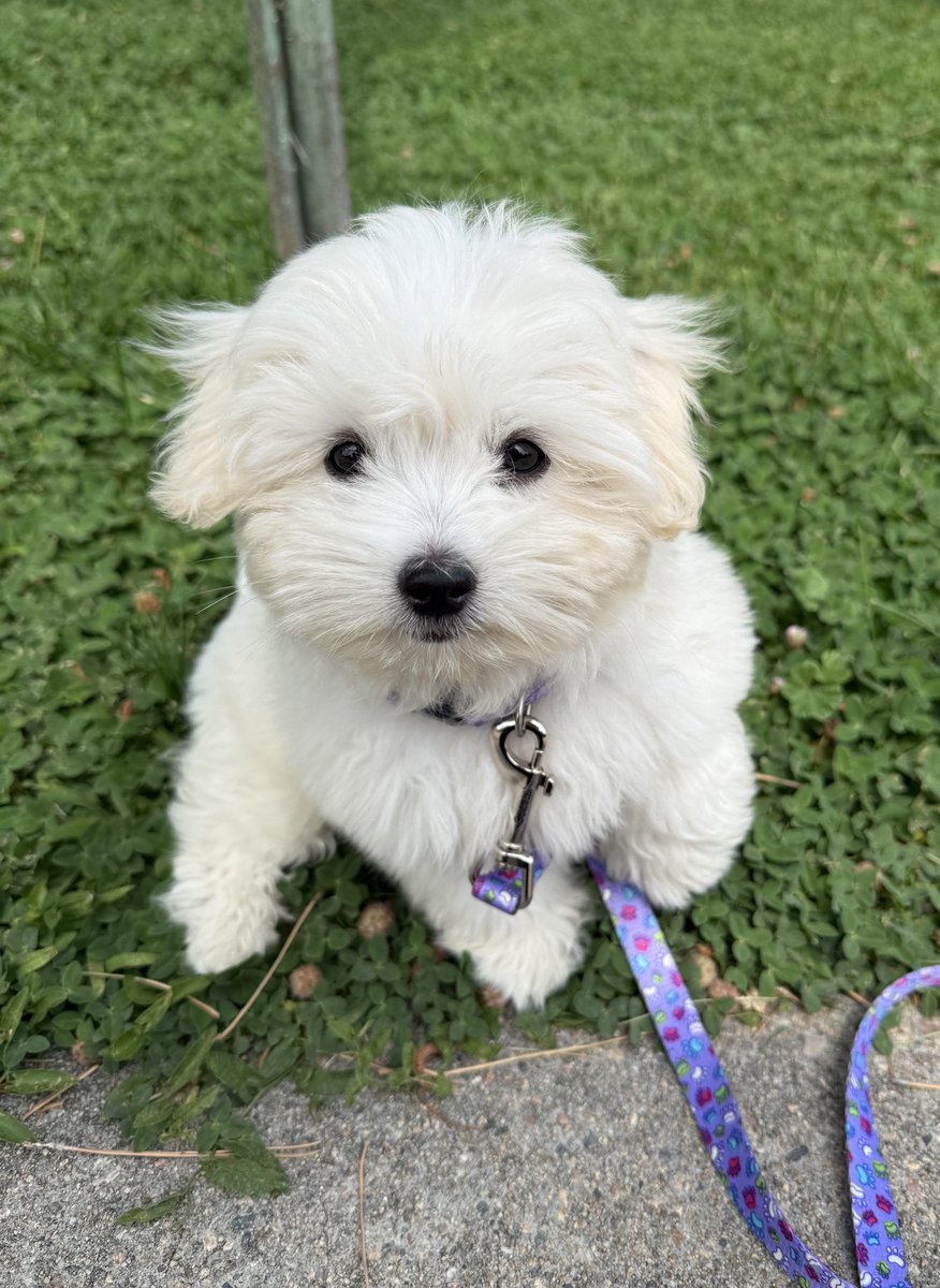 Dennis V. Perepelitsa 🇺🇦🇺🇲 tweet media