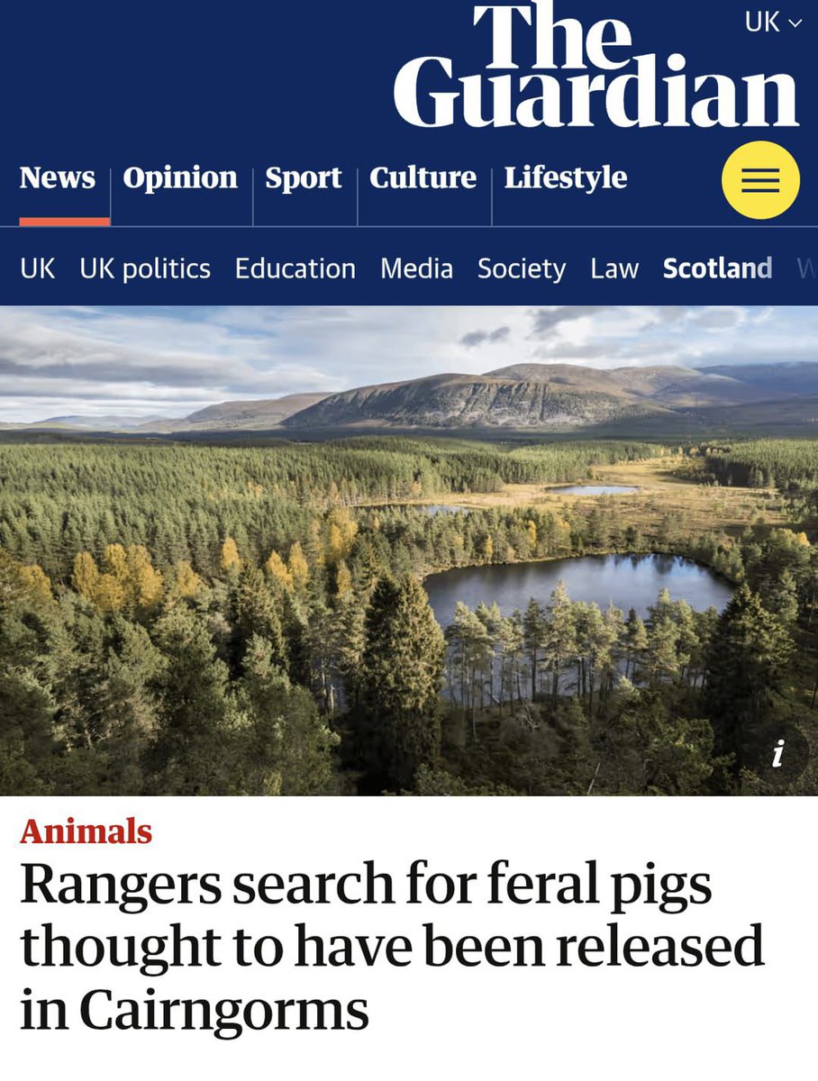 Russell Martin #Rangers has lost it! The next activities day is just too much ...