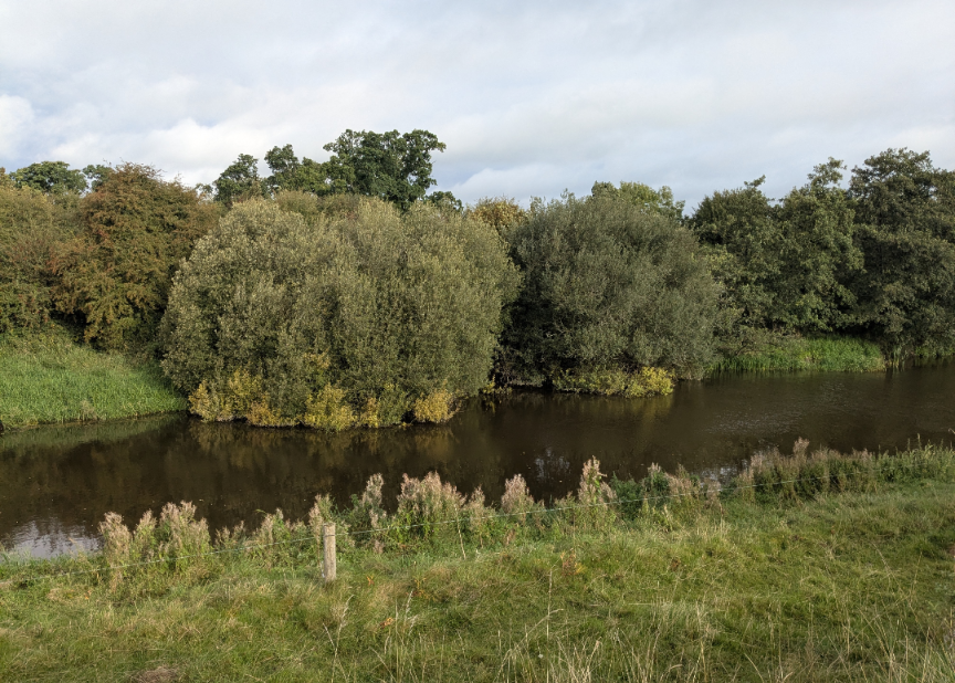 Our 2nd year Geography class took advantage of our schools location &amp; brought their learning to the River Brosna.  They identified a meander, observed how the river transports &amp; sketched it.  Thanks to Ms. McNeill encouraging students to apply knowledge to the world around them.