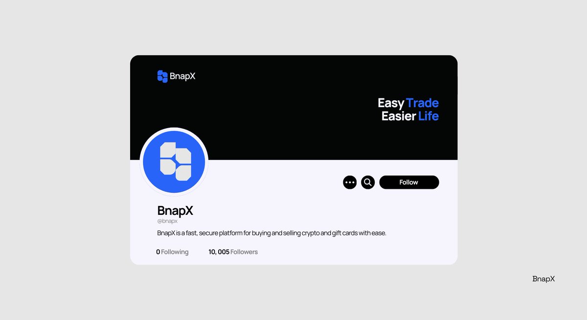 Visual Identity Design for BnapX, a digital trading platform