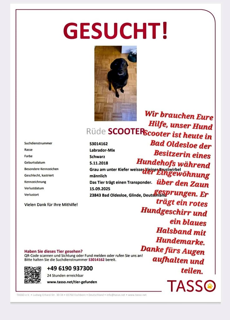 vonSchneggsch's tweet photo. Zwischen Hamburg und Lübeck #BadOldesloe #Glinde
RT erwünscht https://t.co/HUwhxyS88t