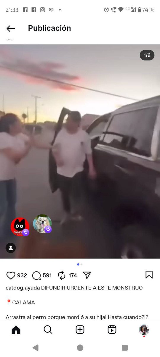 Santuariofucanchile #sintinosepuede tweet media