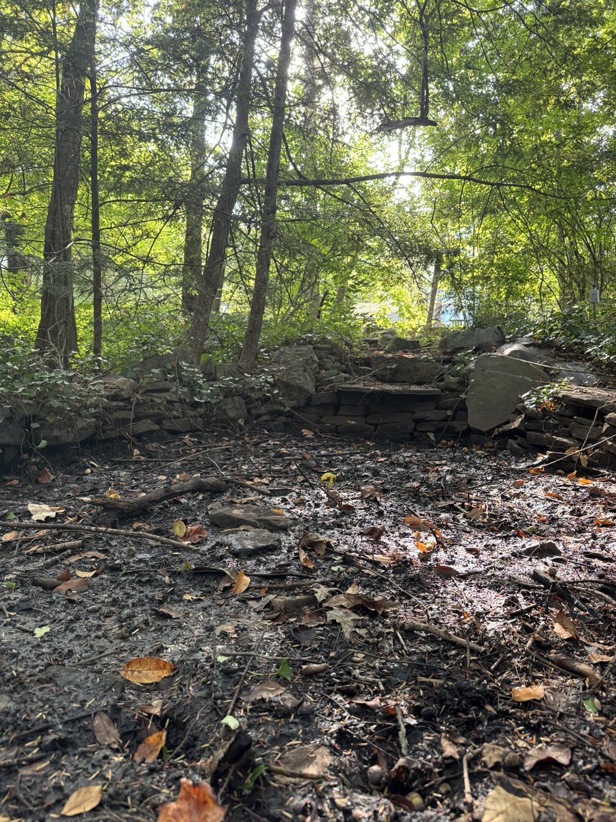 Petrina Gentile (@petrinagentile) on Twitter photo Walking in the woods of #maryville #tennessee - tomorrow we tackle it in #ford #broncosport #offroad #adventures <a href="/globedrive/">Globe Drive</a> Walking in the woods of #maryville #tennessee - tomorrow we tackle it in #ford #broncosport #offroad #adventures <a href="/globedrive/">Globe Drive</a>