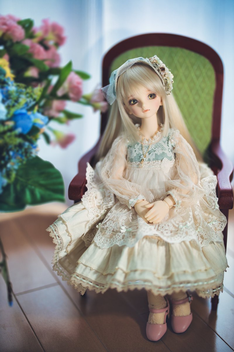 WaYanke's tweet photo. おはようございます。
火曜日です。
三連休も終わってしまいました。
あっという間でしたね。
#うちのこかわいい
#おはドル
#MSD33 https://t.co/Jz2h5wjcKA