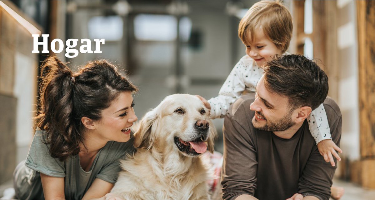 OccidentSeguram's tweet photo. ¿Sabías que tu seguro de hogar puede hacer mucho más por ti? Protege tu vivienda, a tu familia, tus mascotas y tu tranquilidad. Con asesoramiento personalizado, coberturas flexibles, atención urgente 24/7 y más. * Clic aquí... https://t.co/eAHe96epEK